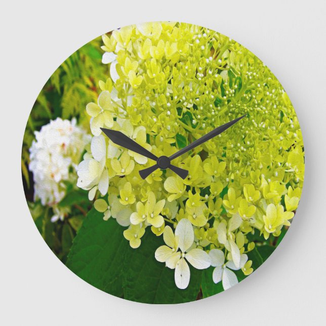 Reloj Redondo Grande Elegante Chartreuse Green Limelight Hydrangea (Anverso)