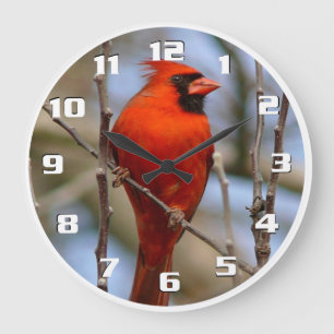 Reloj Redondo Grande Elegante Navidad cardenal rojo bello