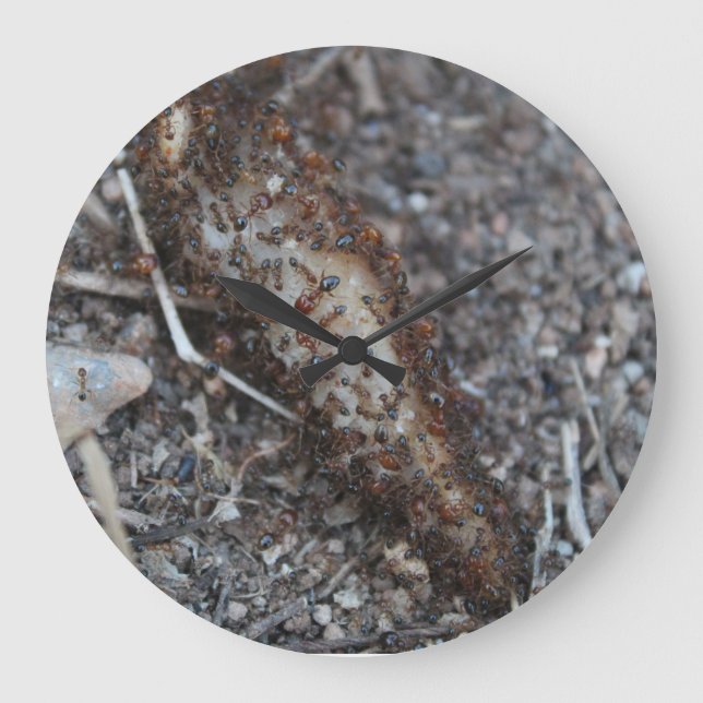 Reloj Redondo Grande Enjambre de la foto de las hormigas impreso (Anverso)