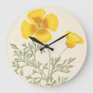 Reloj Redondo Grande Eschscholtzia californiano
