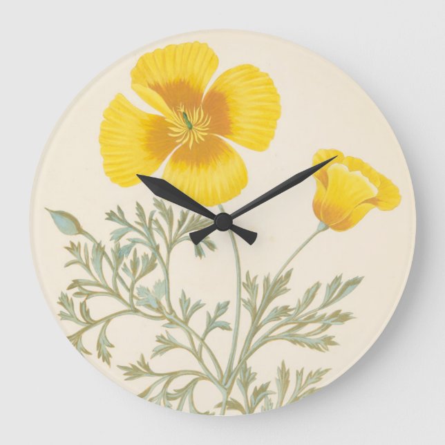 Reloj Redondo Grande Eschscholtzia californiano (Anverso)