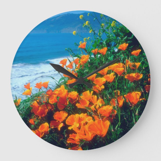 Reloj Redondo Grande Espías a lo largo de la costa del Pacífico cerca d (Anverso)