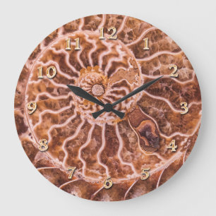 RELOJ REDONDO GRANDE ESPIRAL ANTIGUA DE NAUTILUS