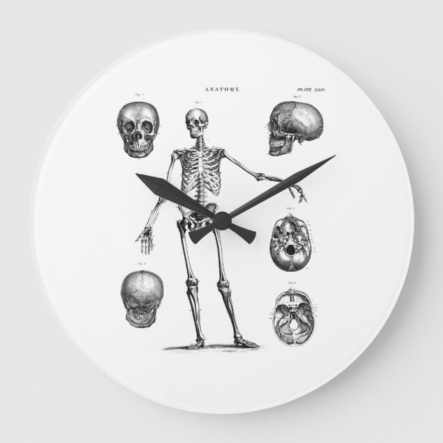 Reloj Redondo Grande Esqueletos antiguos de la anatomía de los esquelet (Anverso)