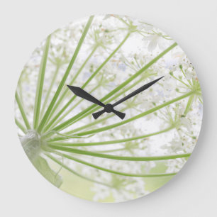 Reloj Redondo Grande Estados Unidos, Alaska, Parque Nacional Glacier Ba