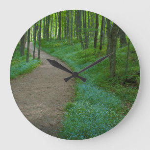 Reloj Redondo Grande Estados Unidos, Michigan. Camino de las cataratas 