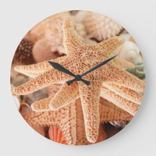 Reloj Redondo Grande Estrellas marinas secas vendidas como souvenirs 2