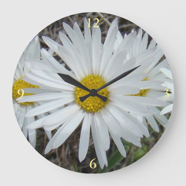 Reloj Redondo Grande F42 Flores Silvestres Blancas Aster Suave (Anverso)