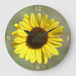 Reloj Redondo Grande F47 Flor silvestre amarilla Frecuente Girasol anua