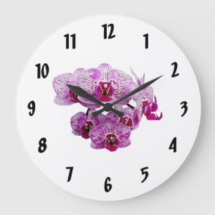 Reloj Redondo Grande Falaenopsis OX Feliz Chica Orquídea