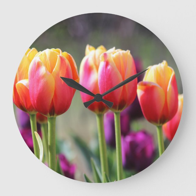 Reloj Redondo Grande Faln Tulips Aflame (Anverso)