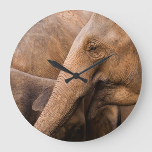 Reloj Redondo Grande Familia Elefante: Vida silvestre majestuosa