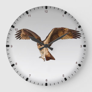 Reloj Redondo Grande Fish eagle