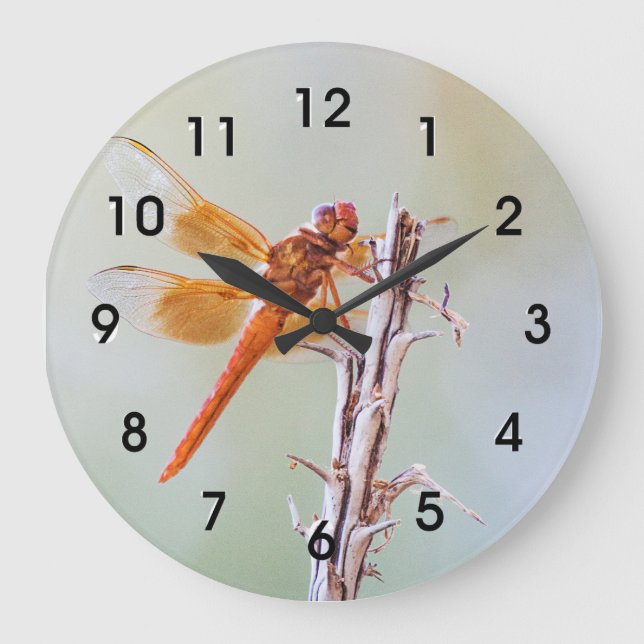 Reloj Redondo Grande Flame Skimmer Dragonfly on Agave (Anverso)