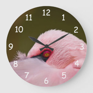 Reloj Redondo Grande Flamingo Eye