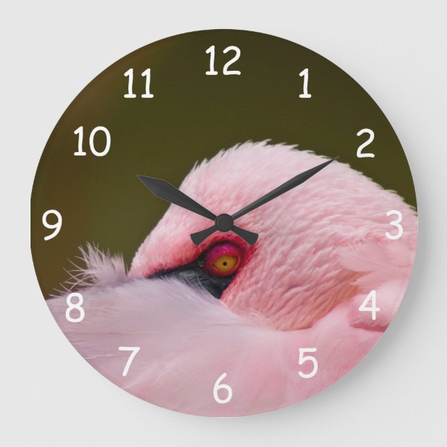 Reloj Redondo Grande Flamingo Eye (Anverso)