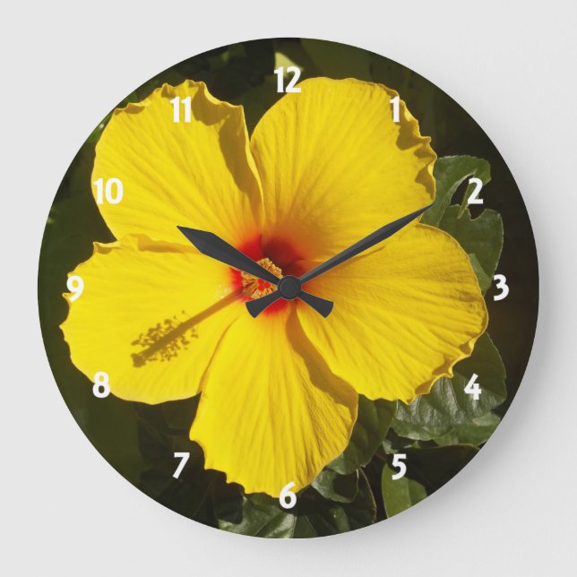 Reloj Redondo Grande Flor amarilla hibiscus (Anverso)