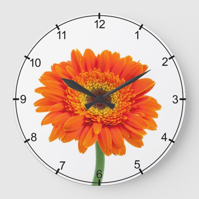 Reloj Redondo Grande Flor anaranjada de la margarita del Gerbera (Anverso)