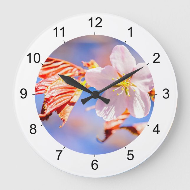 Reloj Redondo Grande Flor azul rosada sakura (Anverso)