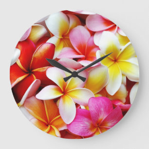 Reloj Redondo Grande Flor de Hawaii del Frangipani del Plumeria