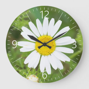 Reloj Redondo Grande Flor de margarita