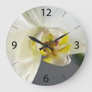 Reloj Redondo Grande Flor de orquídea blanca