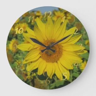 Reloj Redondo Grande flor de sol amarillo florecimiento de verano