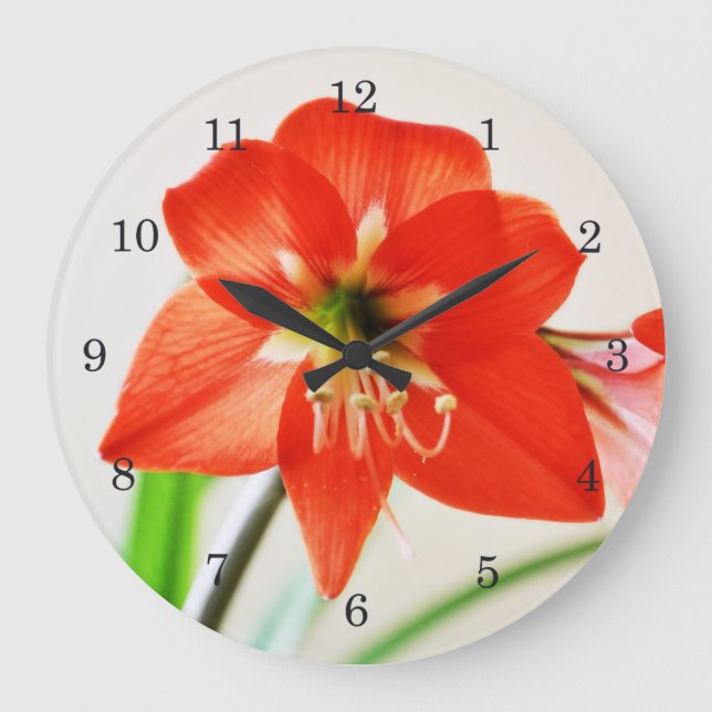 Reloj Redondo Grande Flor roja de Amaryllis (Anverso)