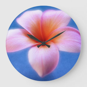Reloj Redondo Grande Flor rosada y azul de Hawaii del Frangipani del