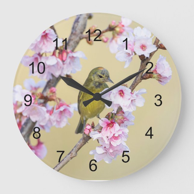 Reloj Redondo Grande Florecimiento de cerezo y Warbler (Anverso)
