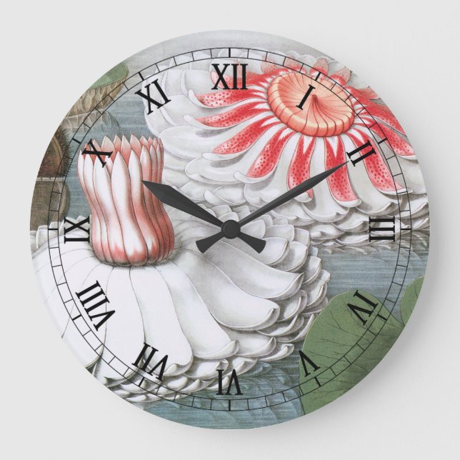 Reloj Redondo Grande Flores de nenúfares en un estanque de jardín (Anverso)