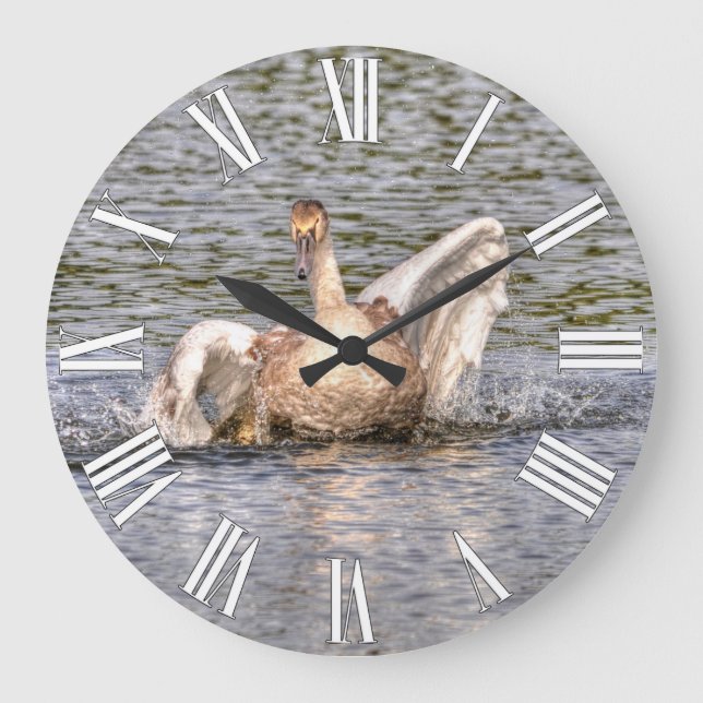 Reloj Redondo Grande Foto de aves acuáticas mudas en cisne (Anverso)