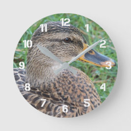 Reloj Redondo Grande Foto de hembra de pato real