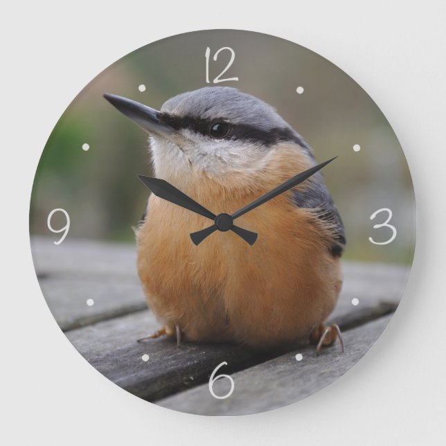 Reloj Redondo Grande Foto de Nuthatch (Anverso)