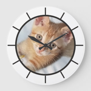 Reloj Redondo Grande Foto. Gato, Texto, reemplazable, Divertido