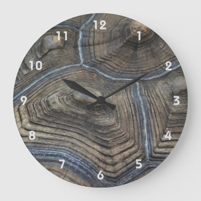 Reloj Redondo Grande Fotografía de Aged Tortoiseshell (Anverso)