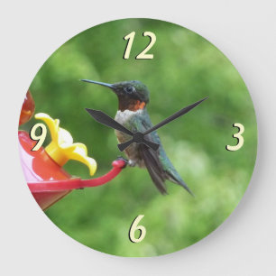 Reloj Redondo Grande Fotografía de aves de colibrí de garganta rubí
