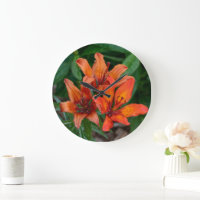Fotografía de flor canadiense, Naranja Day Lily
