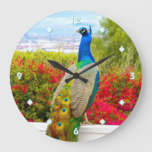 Reloj Redondo Grande Fotografía de pavo real verde azul Hermoso estilo  (Anverso)