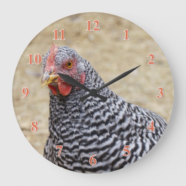 Reloj Redondo Grande Fotografía de Plymouth Barred Rock Hen (Anverso)