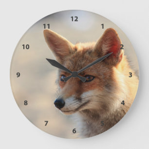 Reloj Redondo Grande Fox