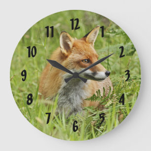 Reloj Redondo Grande Fox rojo hermoso/Vixen