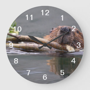 Reloj Redondo Grande Funcionamiento del castor
