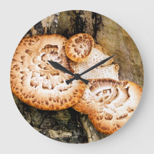 RELOJ REDONDO GRANDE FUNGI