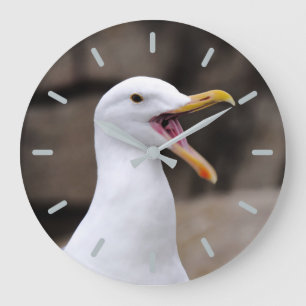 Reloj Redondo Grande FUNNY Seagull