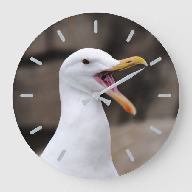 Reloj Redondo Grande FUNNY Seagull (Anverso)