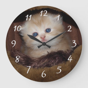 Reloj Redondo Grande Gatito de ojos azules y suaves