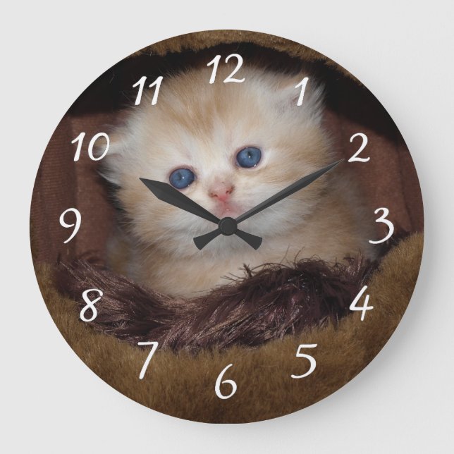 Reloj Redondo Grande Gatito de ojos azules y suaves (Anverso)