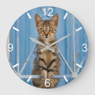 Reloj Redondo Grande Gatito de peluche sentado en una valla azul