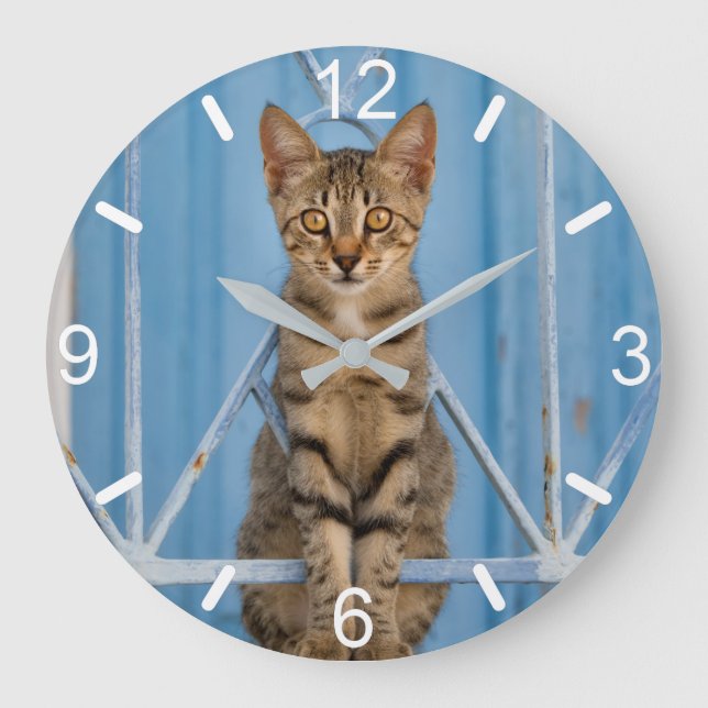 Reloj Redondo Grande Gatito de peluche sentado en una valla azul (Anverso)